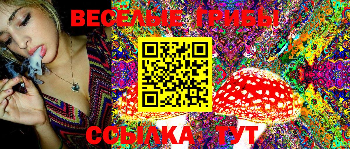 Галлюциногенные грибы GOLDEN TEACHER  Галлюциногенные грибы Magic Shrooms  Волоколамск  Вход с VPN 